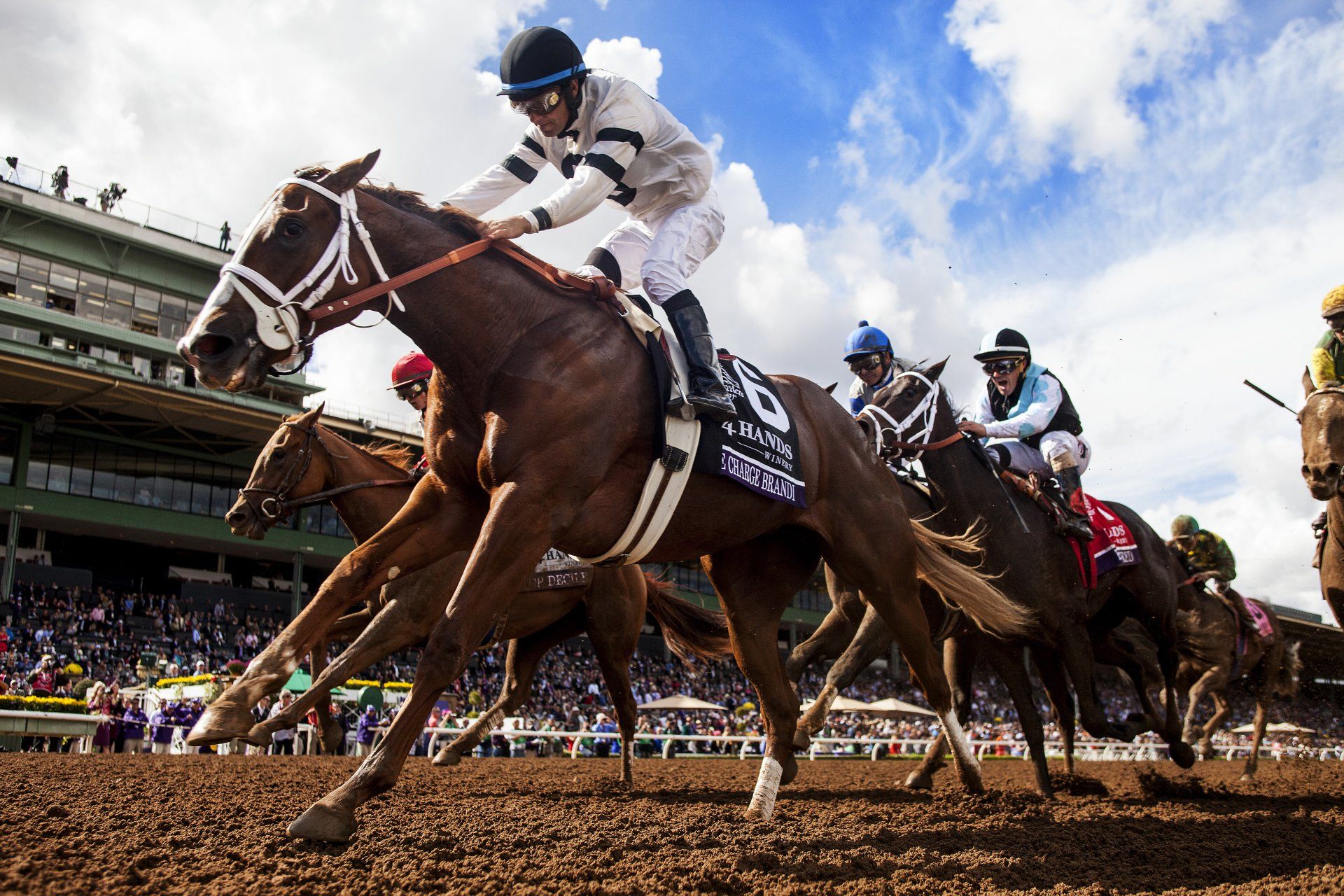 Victoria Racing Club (VRC) and Breeders’ Cup continue successful ...